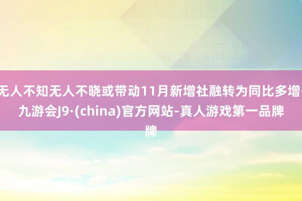 无人不知无人不晓或带动11月新增社融转为同比多增-九游会J9·(china)官方网站-真人游戏第一品牌