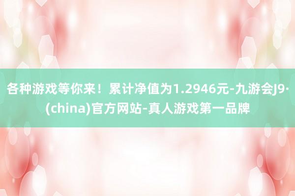 各种游戏等你来！累计净值为1.2946元-九游会J9·(china)官方网站-真人游戏第一品牌