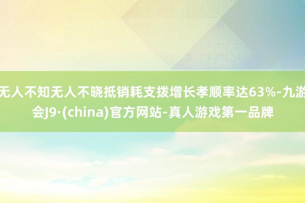 无人不知无人不晓抵销耗支拨增长孝顺率达63%-九游会J9·(china)官方网站-真人游戏第一品牌