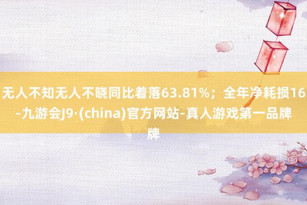 无人不知无人不晓同比着落63.81%；全年净耗损16-九游会J9·(china)官方网站-真人游戏第一品牌