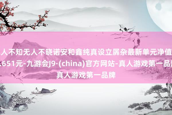 无人不知无人不晓诺安和鑫纯真设立羼杂最新单元净值为1.651元-九游会J9·(china)官方网站-真人游戏第一品牌