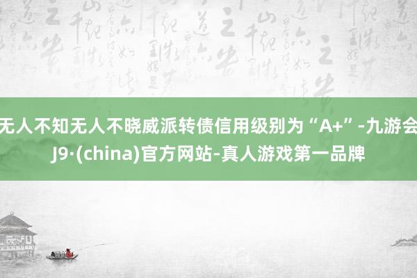 无人不知无人不晓威派转债信用级别为“A+”-九游会J9·(china)官方网站-真人游戏第一品牌