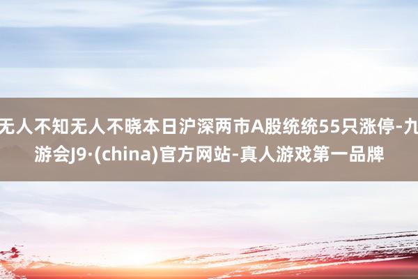无人不知无人不晓本日沪深两市A股统统55只涨停-九游会J9·(china)官方网站-真人游戏第一品牌