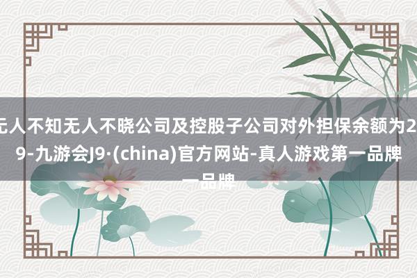 无人不知无人不晓公司及控股子公司对外担保余额为209-九游会J9·(china)官方网站-真人游戏第一品牌